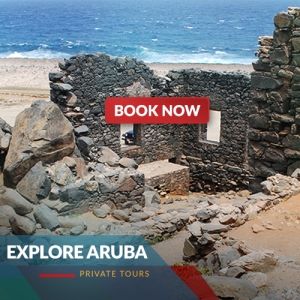 history private tour aruba